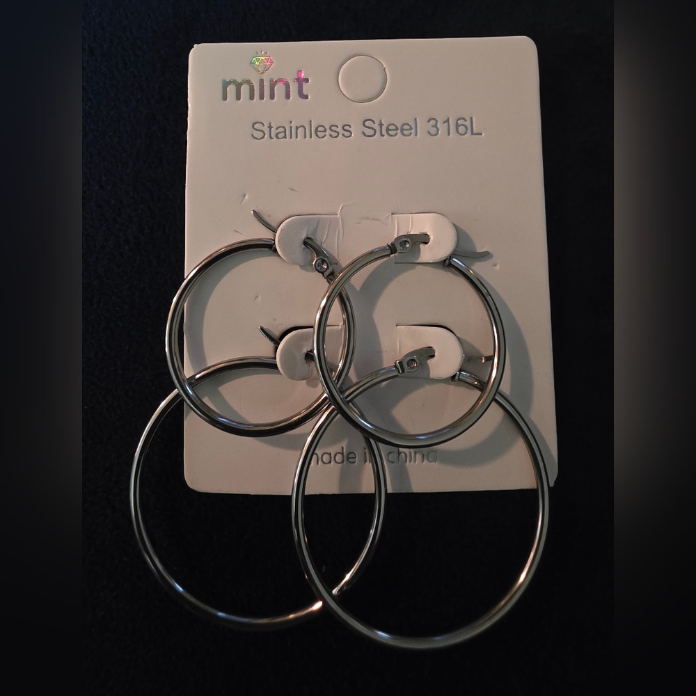 Mint Stainless Steel Double Hoop Earrings